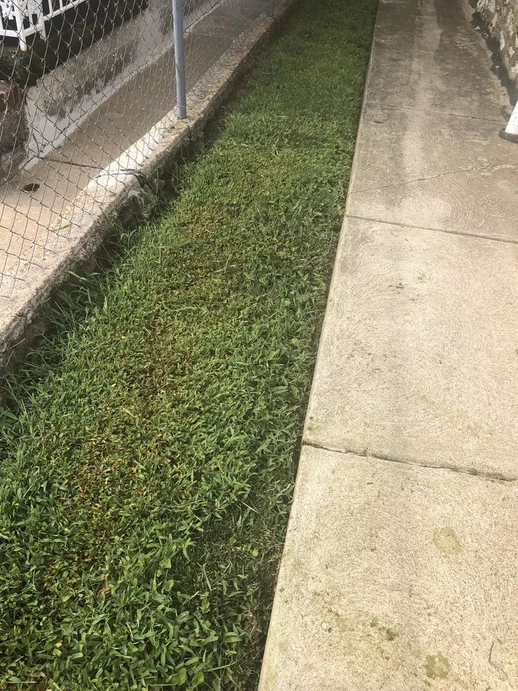 Custom lawn mowing service in Florissant, MO by On Call Lawncare and More