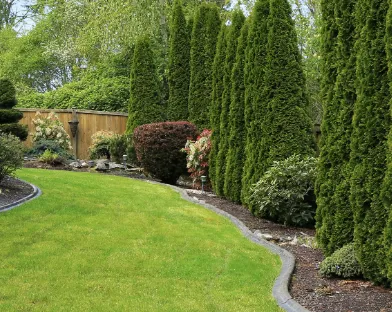 Affordable outdoor landscaping near you across Carson City, NV - On Deck Fence and Landscaping