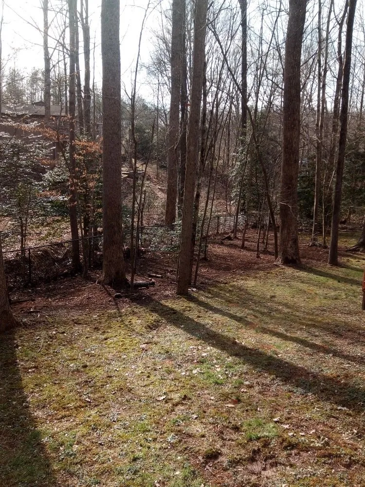 Local landscape design experts serving Culpeper, VA - On Deck Tree & Landscape