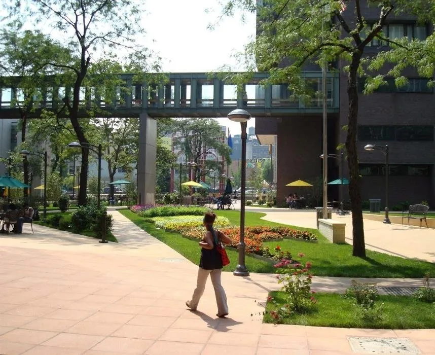 Expert landscaping services in Putnam Valley, NY by On Earth