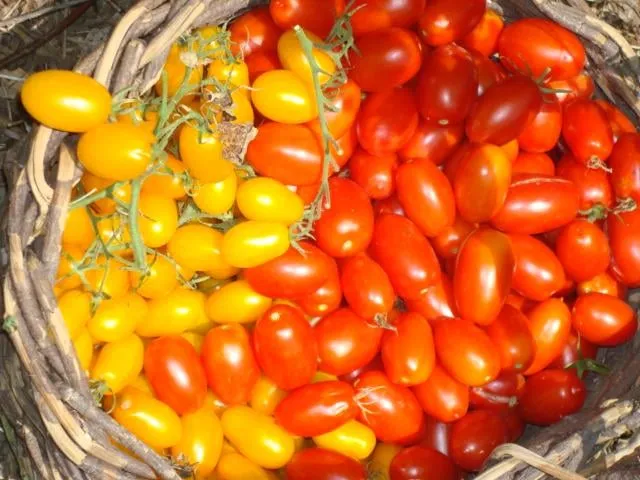 Top-rated landscaping services in Putnam Valley, NY by On Earth