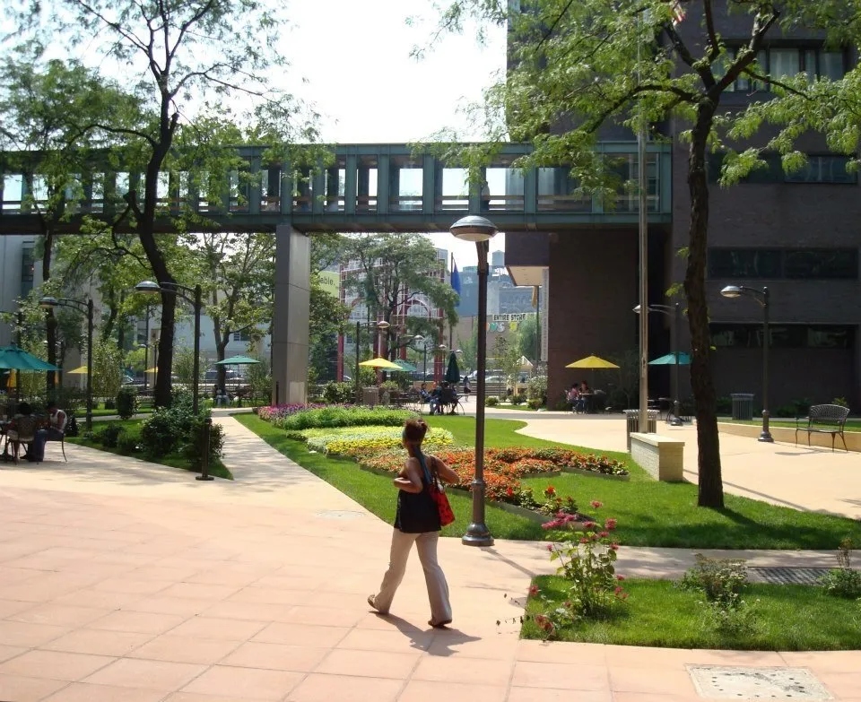 Top-rated outdoor landscaping in Putnam Valley, NY - On Earth