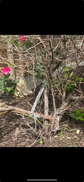 Expert yard cleanup service in Little Elm, TX - On-Hand Lawn Care