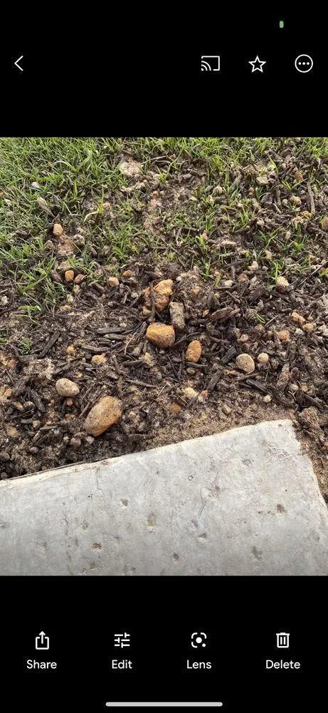 Professional lawn mowing service in Little Elm, TX by On-Hand Lawn Care