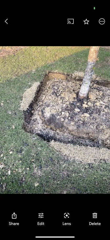 Trusted yard maintenance near you in Little Elm, TX by On-Hand Lawn Care