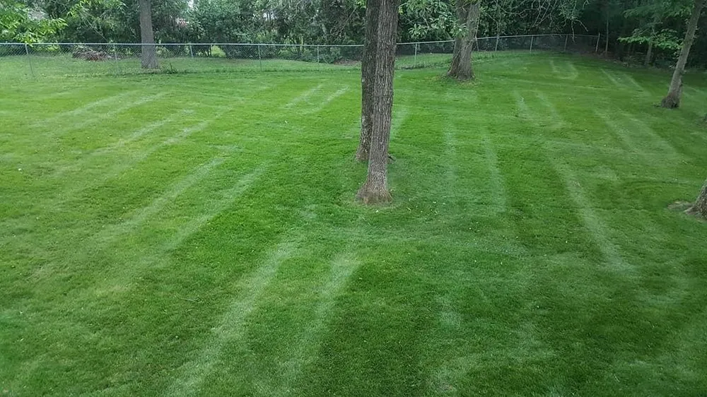 Professional landscape design in Troy, MO by On My Own Time Lawn Care