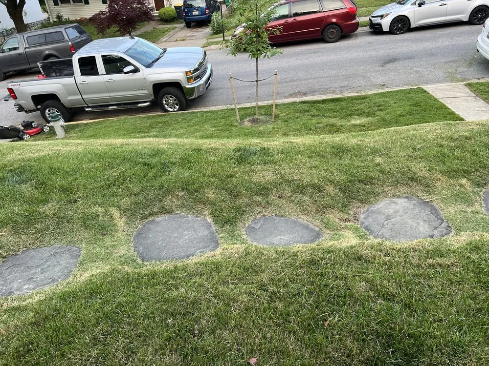 Professional lawn care service in East Riverdale, MD by On point Appearance