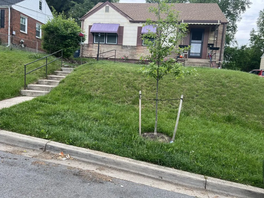 Local lawn care service with custom design in East Riverdale, MD by On point Appearance