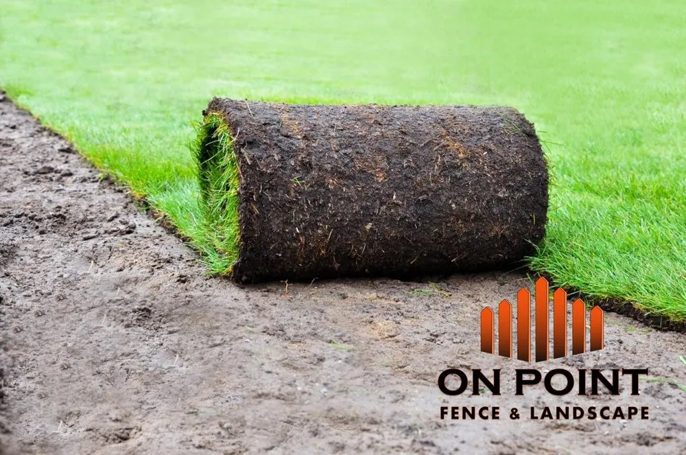 Custom lawn care service experts serving Evans, CO - On Point Fence & Landscape