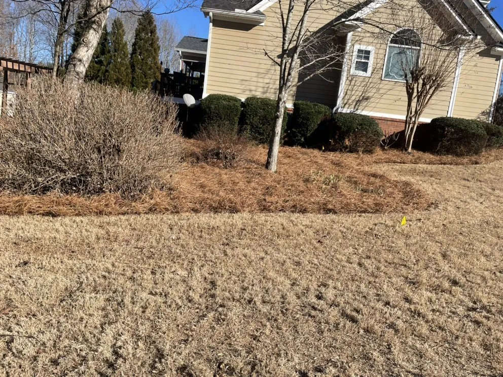 Local lawn mowing service for beautiful yards across Gainesville, GA - On Point Landscaping & Property Maintenance.