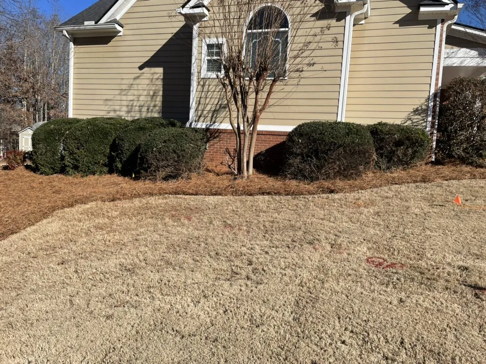 Affordable lawn mowing service in Gainesville, GA - On Point Landscaping & Property Maintenance.