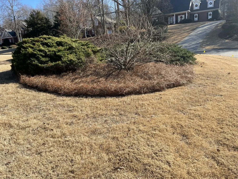 Professional lawn mowing service in Gainesville, GA - On Point Landscaping & Property Maintenance.