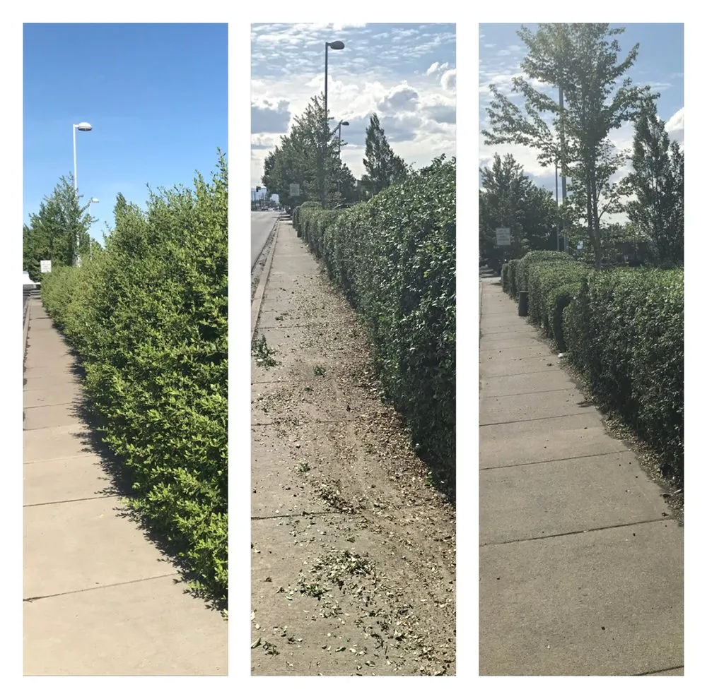 Affordable yard maintenance experts serving Grandview, WA - On Point Landscaping