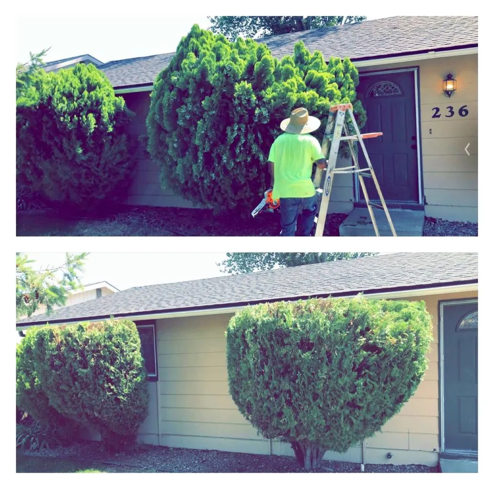 Expert landscape installation experts serving Grandview, WA - On Point Landscaping