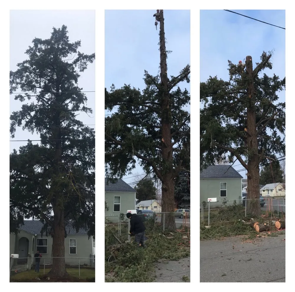 Professional lawn care service for homes in Grandview, WA by On Point Landscaping