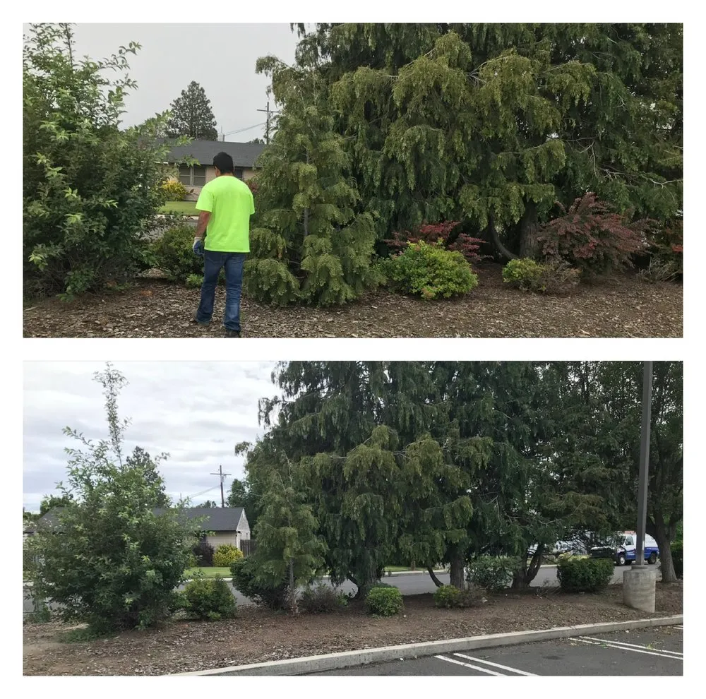 Custom garden landscaping experts serving Grandview, WA - On Point Landscaping