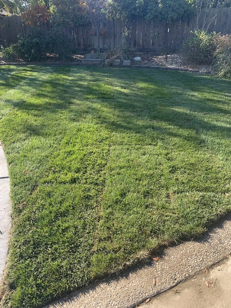 Reliable lawn care service in Ceres, CA - On Point Landscaping Services