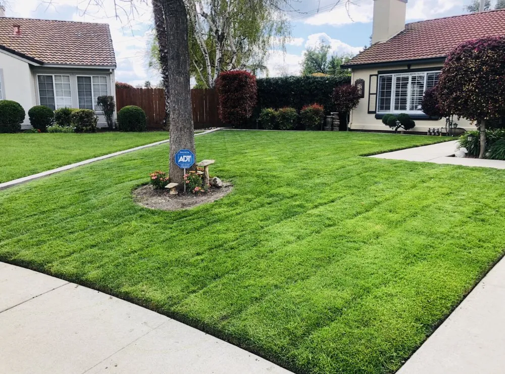 Local yard maintenance in Ceres, CA by On Point Landscaping Services