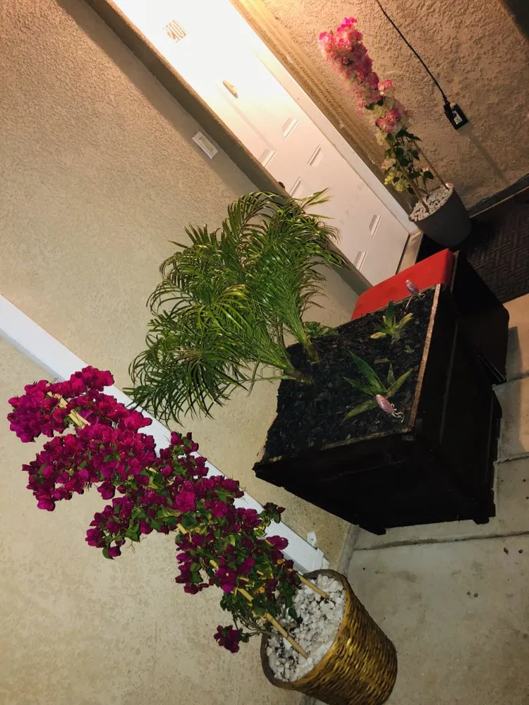 Custom landscape design in Ceres, CA by On Point Landscaping Services