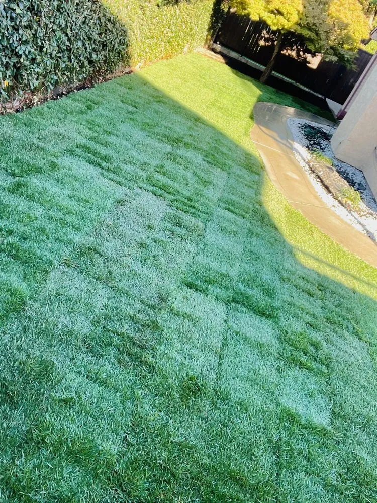 Top-rated garden landscaping in Ceres, CA - On Point Landscaping Services