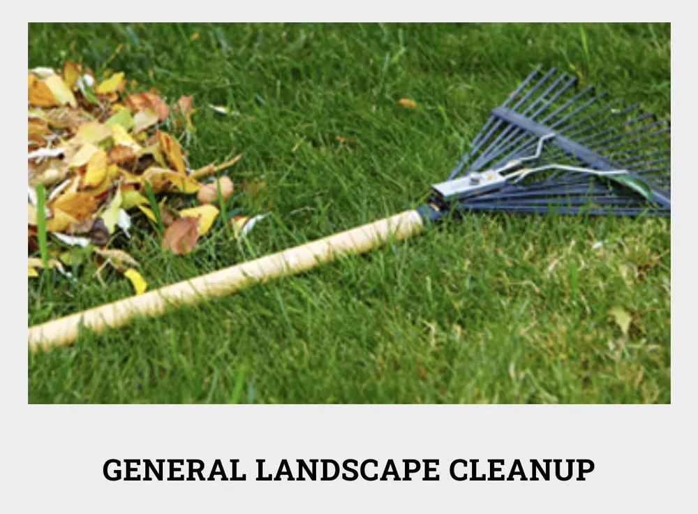 Custom yard maintenance experts serving Ceres, CA - On Point Landscaping Services