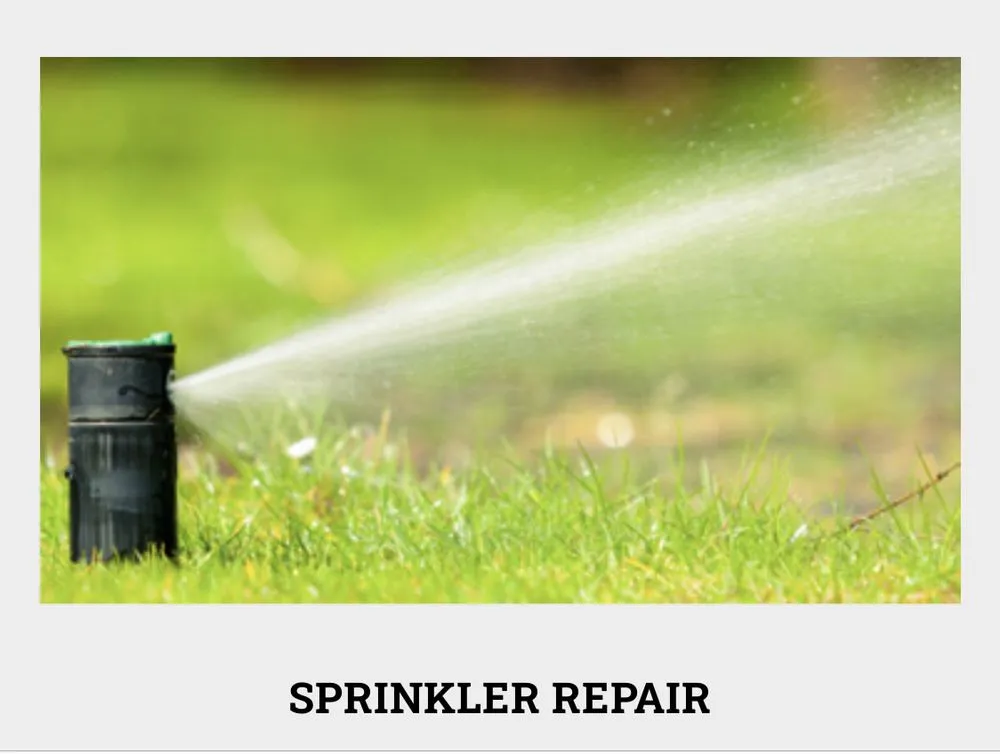 Custom garden landscaping for outdoor upgrades in Ceres, CA by On Point Landscaping Services