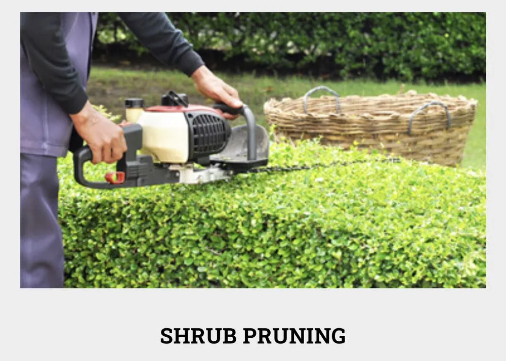 Trusted landscape design for year-round maintenance across Ceres, CA - On Point Landscaping Services