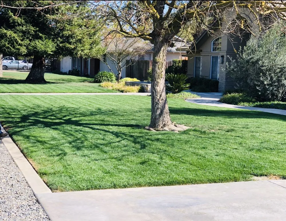 Expert lawn care service experts serving Ceres, CA - On Point Landscaping Services