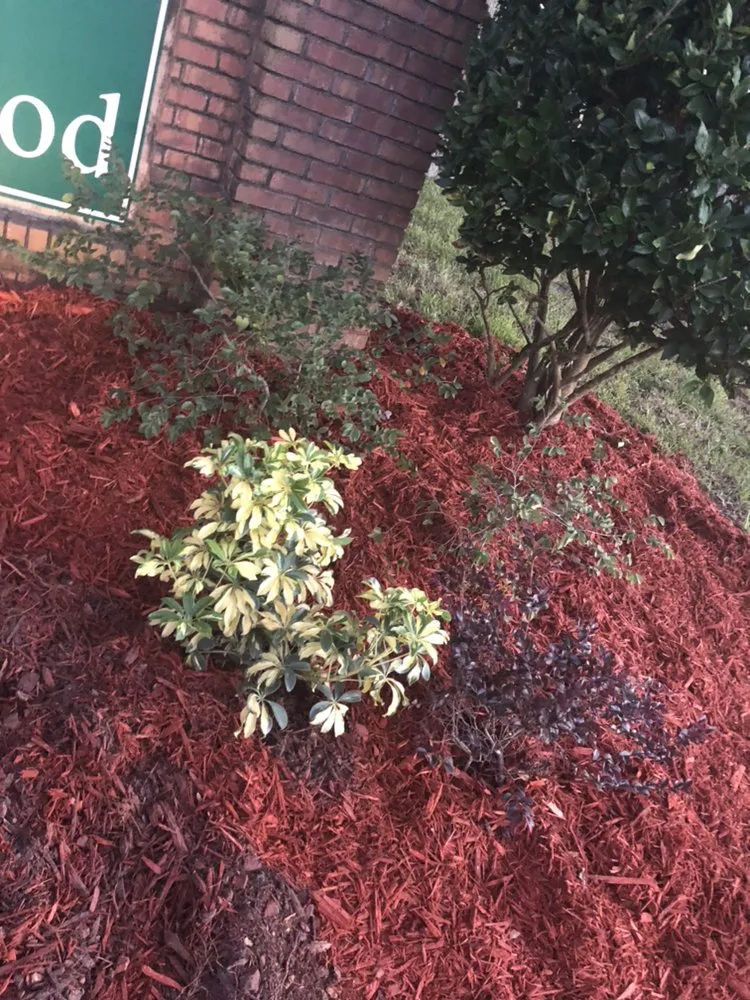 Expert yard maintenance in Jacksonville, FL - On Point Lawn Care & Landscaping