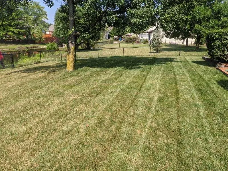 Custom lawn mowing service with custom design in Greenwood, IN by On Point Lawn Care