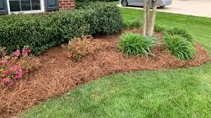 Local yard maintenance in Jonesboro, GA - On Point Lawn Care Services