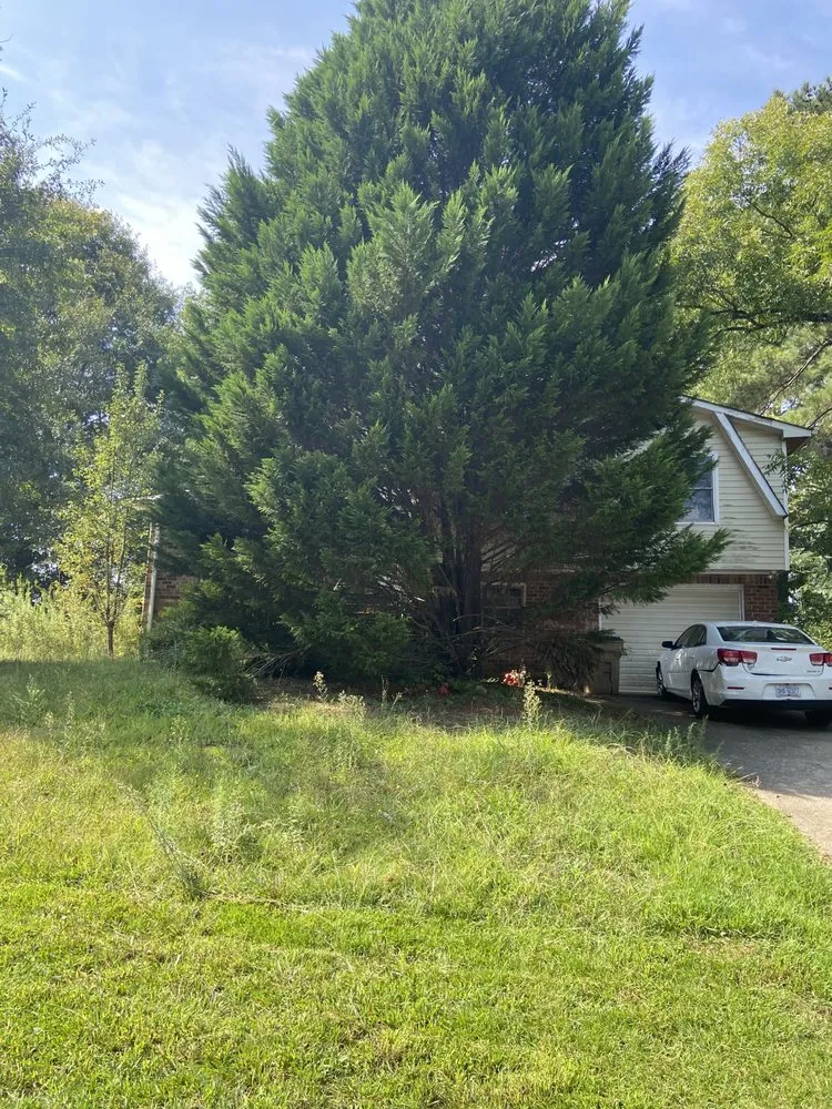 Custom landscaping services experts serving Jonesboro, GA - On Point Lawn Care Services