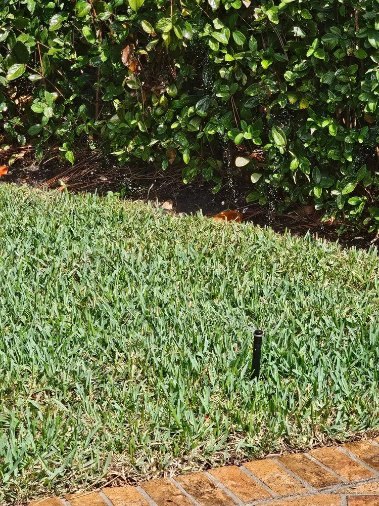 Professional landscape installation for residential properties across Okeechobee, FL - On Point Maintenance