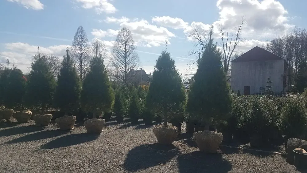 Professional landscape installation for homes across Schwenksville, PA - On Point Nursery