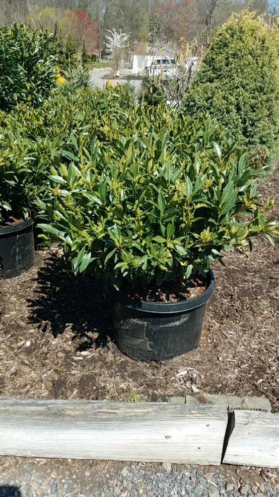 Expert landscaping services in Schwenksville, PA - On Point Nursery