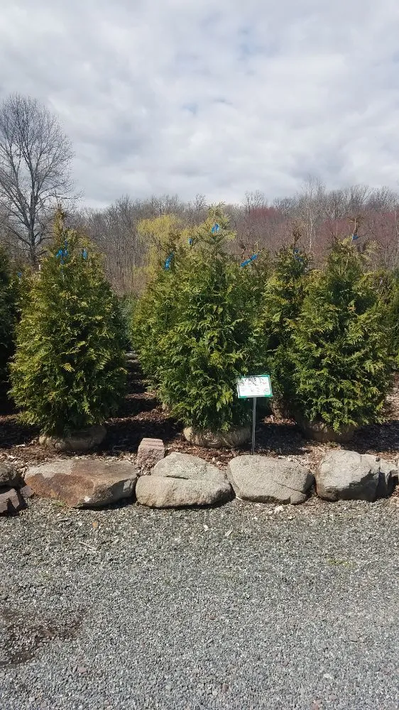 Professional outdoor landscaping in Schwenksville, PA - On Point Nursery
