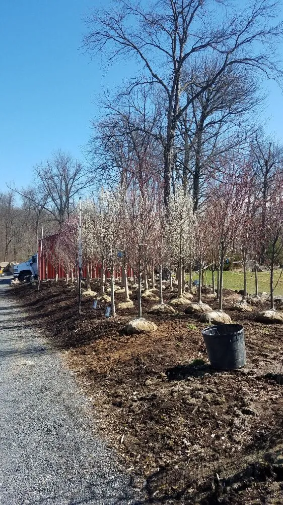 Custom landscape installation for homes across Schwenksville, PA - On Point Nursery