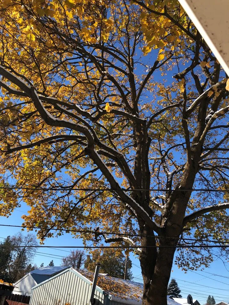 Expert residential landscaping for outdoor upgrades in Priest River, ID by On Point Tree & Lawn