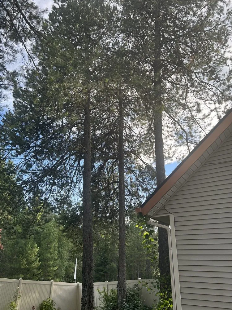 Custom residential landscaping experts serving Priest River, ID - On Point Tree & Lawn