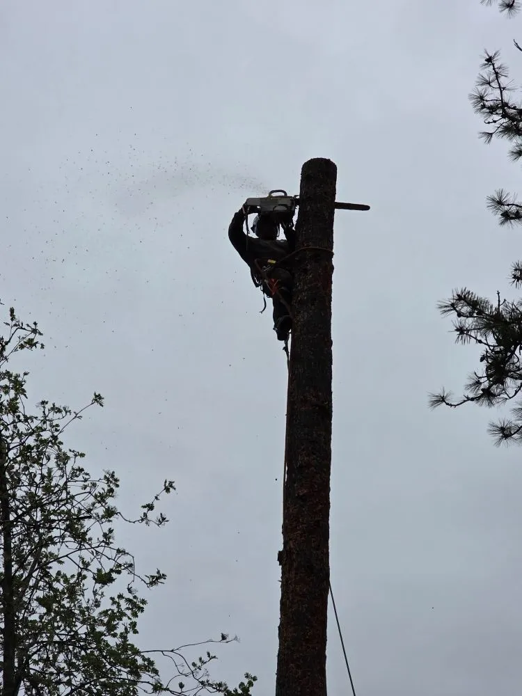 Top-rated garden landscaping in Priest River, ID - On Point Tree & Lawn