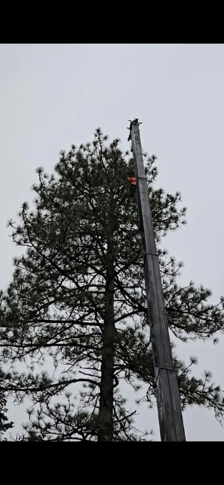 Affordable yard cleanup service for homes in Priest River, ID by On Point Tree & Lawn