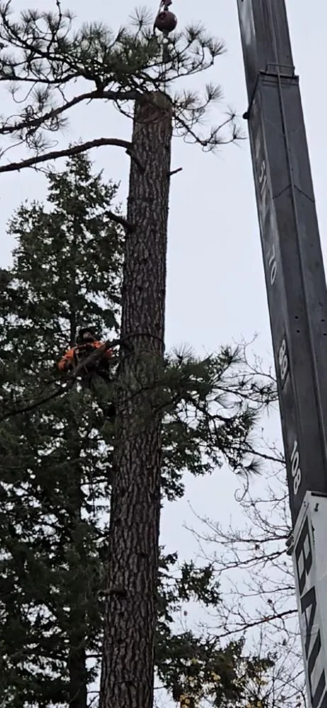 Expert landscape installation for beautiful yards in Priest River, ID by On Point Tree & Lawn