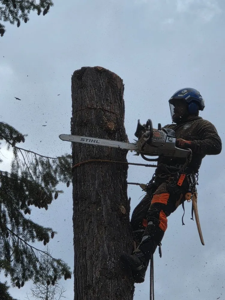 Local lawn mowing service for residential properties in Priest River, ID by On Point Tree & Lawn