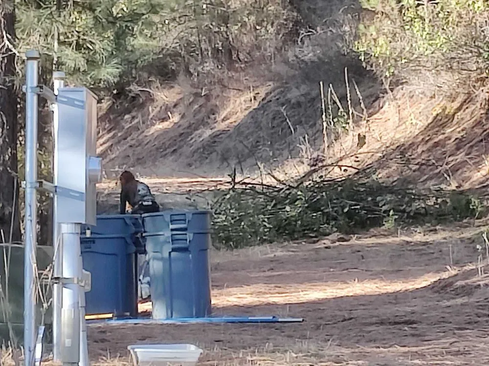 Expert yard cleanup service experts serving Priest River, ID - On Point Tree & Lawn