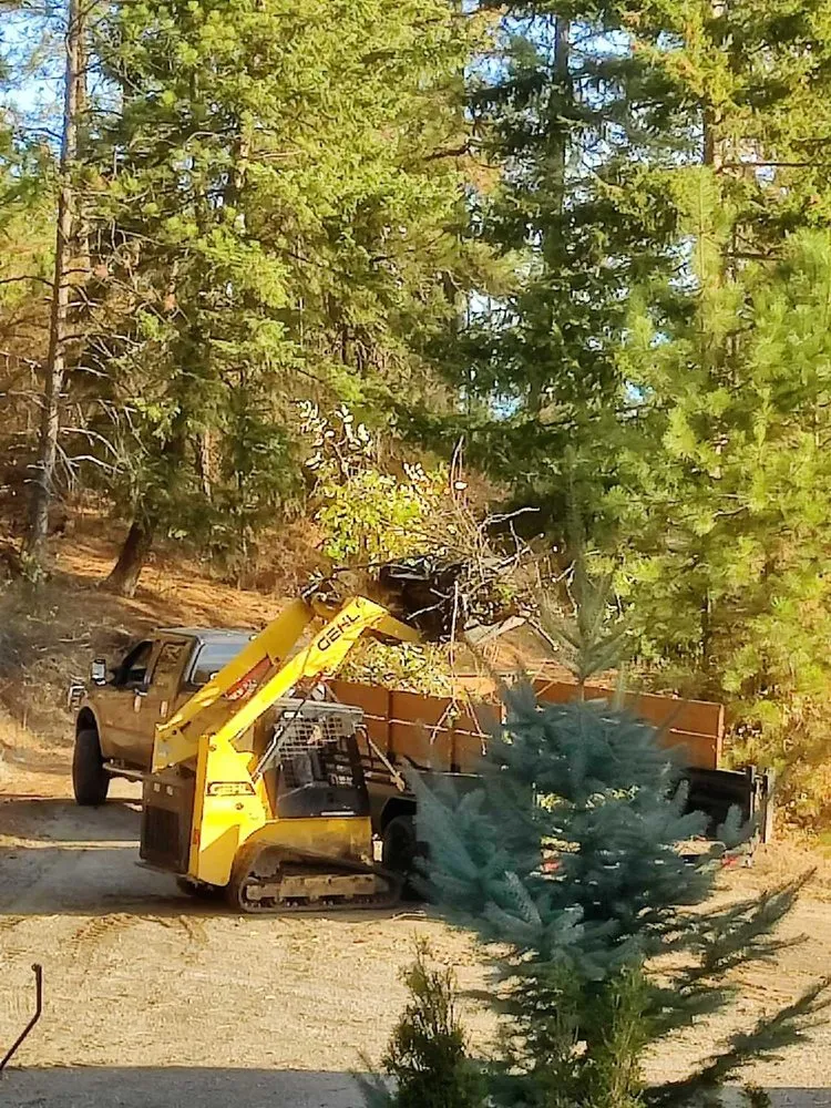 Top-rated yard cleanup service experts serving Priest River, ID - On Point Tree & Lawn