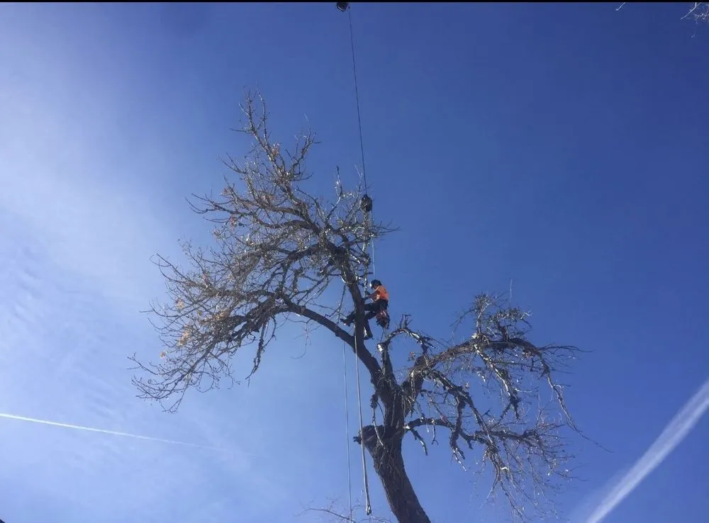 Custom landscape design for beautiful yards in Vancouver, WA by On Point Tree Service & Landscaping