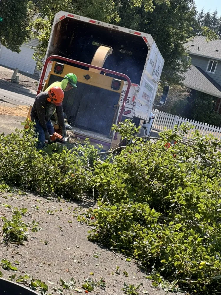 Reliable landscaping services near you across Vancouver, WA - On Point Tree Service & Landscaping