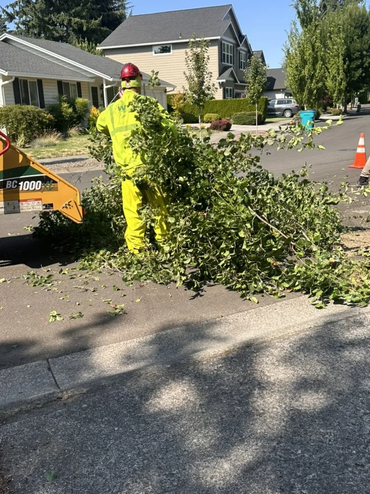 Trusted garden landscaping experts serving Vancouver, WA - On Point Tree Service & Landscaping