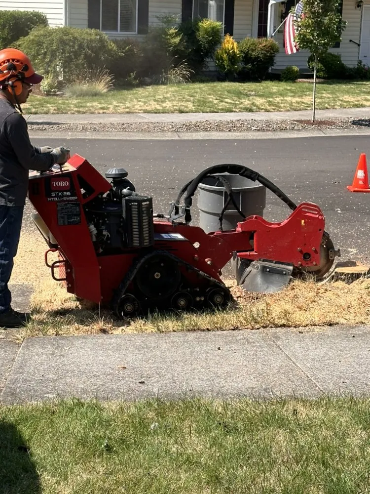 Professional residential landscaping in Vancouver, WA - On Point Tree Service & Landscaping
