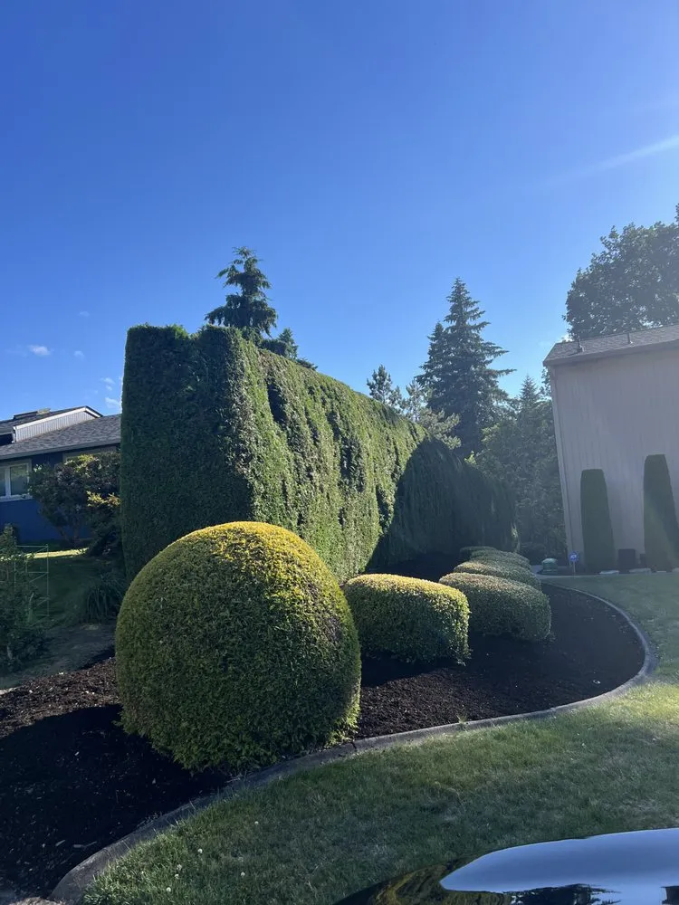 Custom yard maintenance in Vancouver, WA by On Point Tree Service & Landscaping